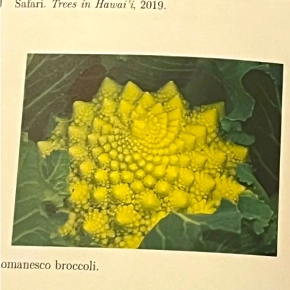 Geometry ForThe Artist Textbook Paperback By Catherine‎ A Gorini Art Math - Picture 9 of 11